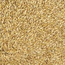 Gladfield German Pilsner