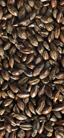 Black Malt - Simpsons U.K