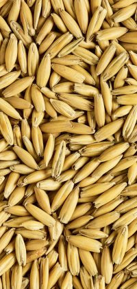 OAT MALT SIMPSONS U.K