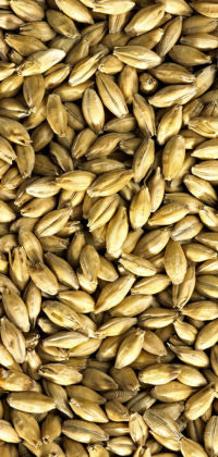 Simpsons Maris Otter Pale Malt