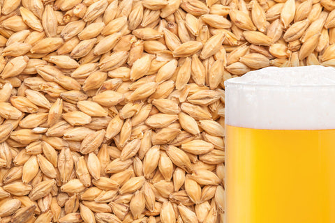 BestMalz Heidelberg malt