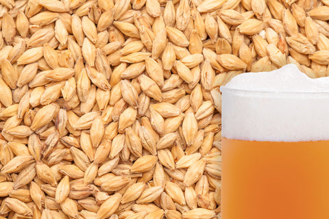 BestMalz Vienna Brewing Grain