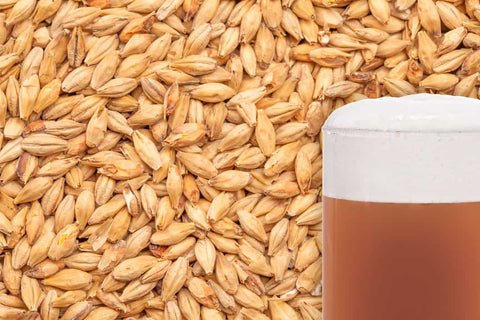 BestMalz Munich Dark