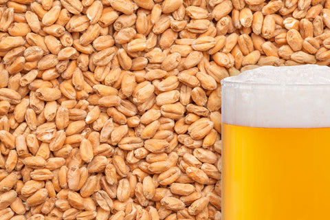 BestMalz Wheat Malt