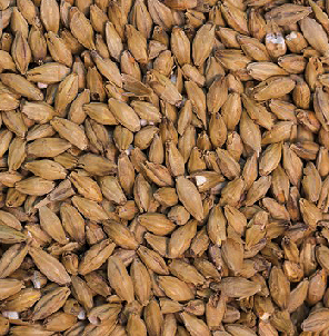 Gladfield Aurora Malt