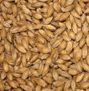 Gladfield Gladiator (dextrine) Malt