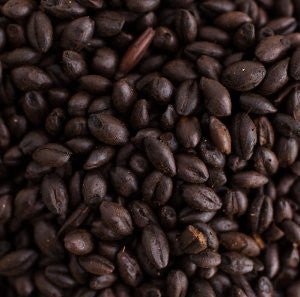 Briess Midnight Wheat