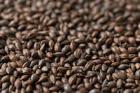 Gladfield Roasted Barley