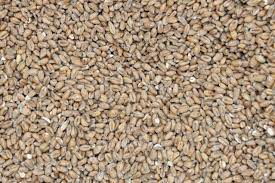 Rye Malt (product of Germany)