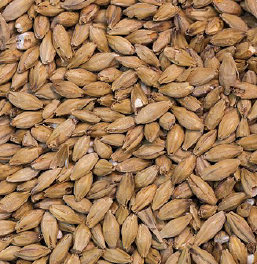 Gladfield Vienna Malt from $3.40 kg