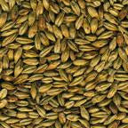 Dingemans Biscuit Grain