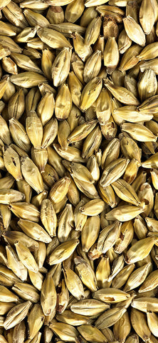 Simpsons Aromatic Malt