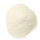 Polyclar PVPP (granular)