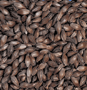 Gladfield Dark Chocolate Malt