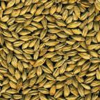 Dingemans Pilsen Malt