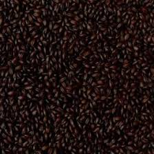 Simpsons Roasted Barley