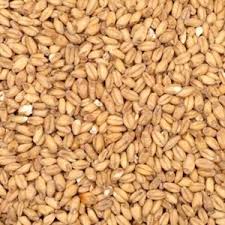Wheat malt Joe White Maltings
