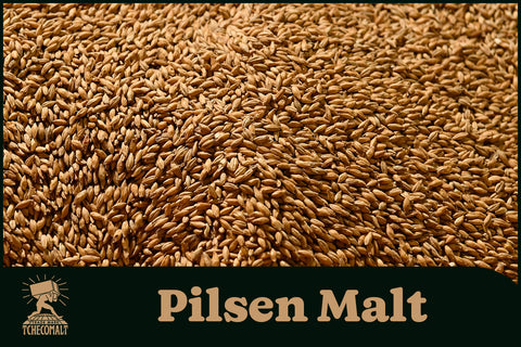 Tchecomalt Pilsen malt
