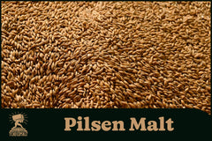 Tchecomalt Pilsen malt