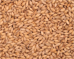 Barrett Burston EXTRA Pale malt