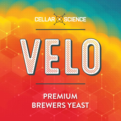 CellarScience - VELO Ale yeast x 15gm