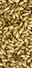 Simpsons Maris Otter Pale Malt