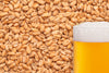 BestMalz Wheat Malt