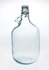 5 litre Demijohn with swing clip lid