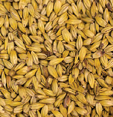 Gladfield Distillers Malt