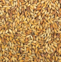 Gladfield Pilsner Malt from $3.40 kg