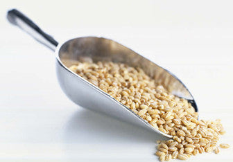 Grain Scoop