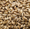 Briess Cara-Pils® Malt (Dextrine)