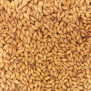 Gladfield SUPERNOVA malt