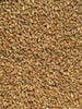 BestMalz Wheat Malt